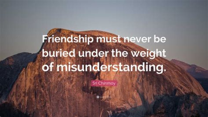 45 Quotes About Misunderstanding in Friendship